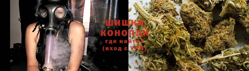 Бошки марихуана индика  Курганинск 